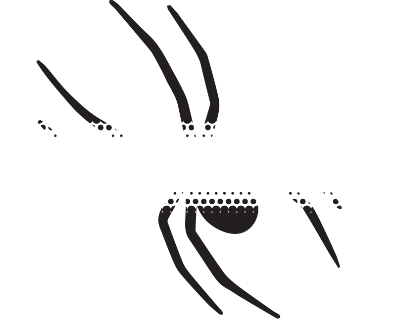 Frontline Back Support- RH3003, Frontline Back Support- RH3003 Suppliers, Frontline Back Support- RH3003 Manufacturer