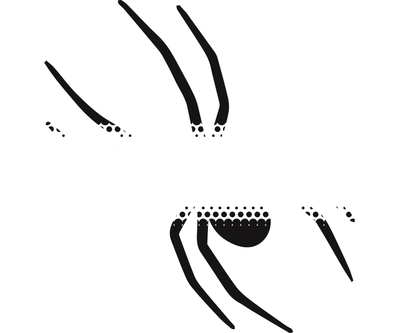 Frontline Pest Control